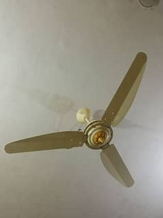 AC/DC 50 watt copper winding ceiling fan