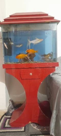 Fishes with Aquarium Complete