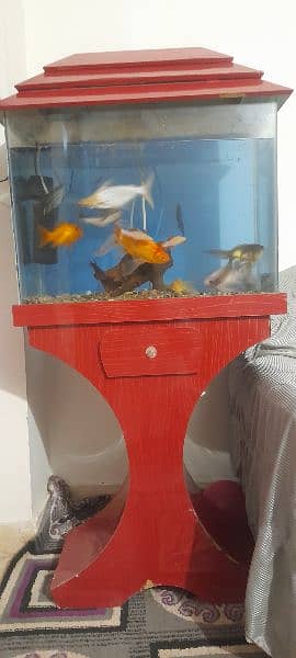 Fishes with Aquarium Complete 1