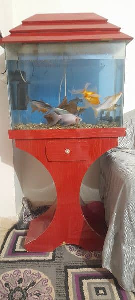 Fishes with Aquarium Complete 2