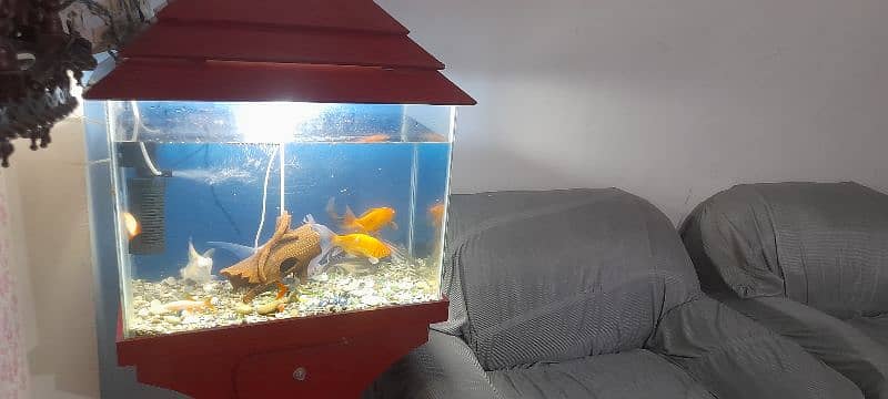 Fishes with Aquarium Complete 18