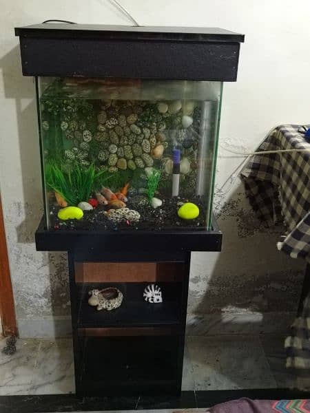 Fish tank/ aquarium 2