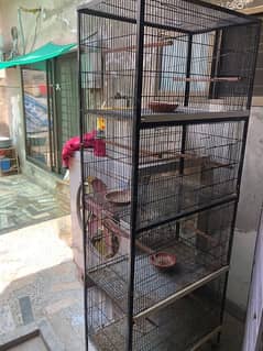 Birds cages for sale