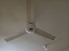 04 ceiling fan with copper wire available for sal