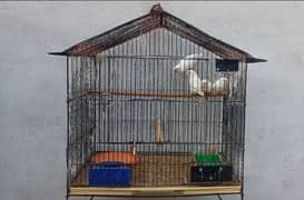 Medium Size cage or Matky larg size Mudd breeding Pots For bird breeds