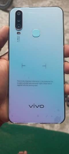 vivo