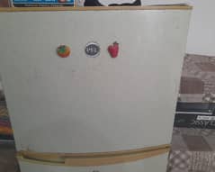 pel fridge for sale