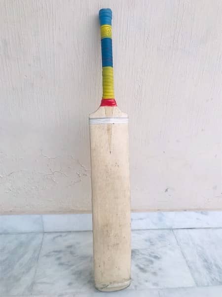 coconut wood bat 0