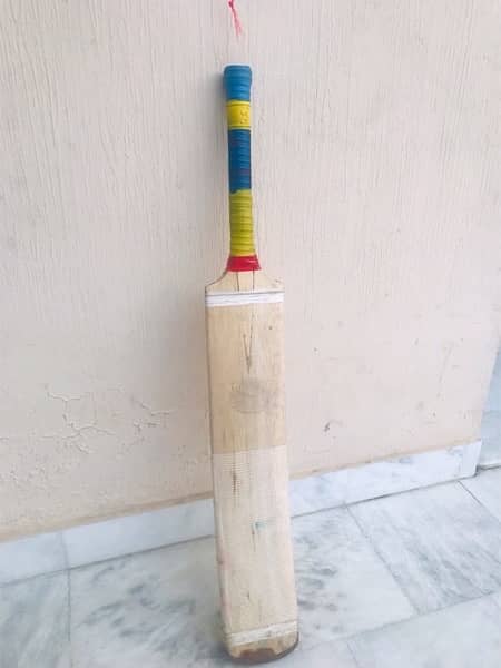 coconut wood bat 1