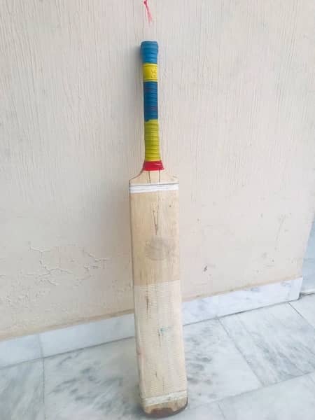 coconut wood bat 2