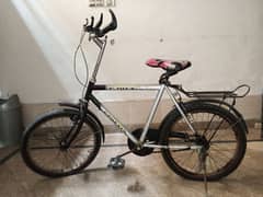 Phoneix Bicycle