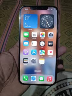 IPhone 12 Pro Max 512 Gb PTA proved