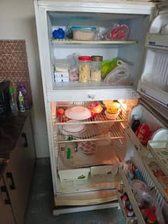 pel fridge for sale