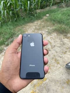 iphone 8 /full box