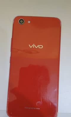 vivo