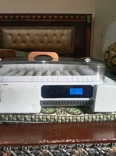 2 eggs incubater for sale