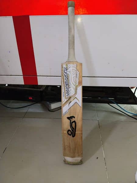 English Willow Bat for sale 2