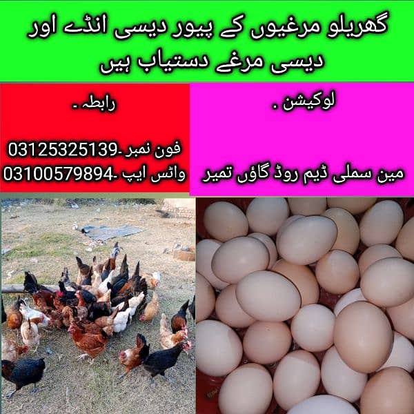 pure Desi eggs available in Rawalpindi & Islamabad 0