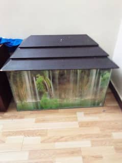 fish aquariums