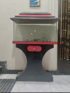 fish aquarium