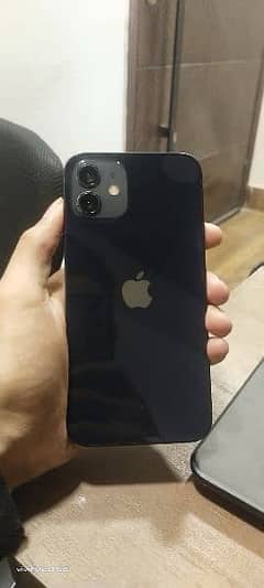 iphone 12 black 7500 colour