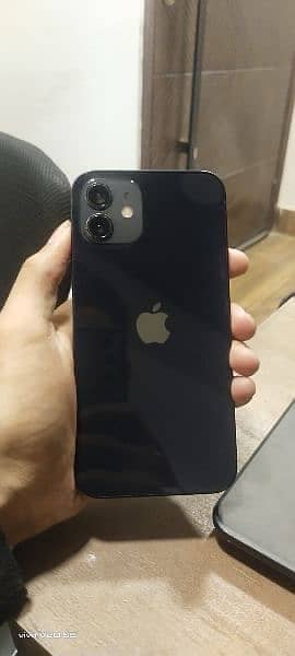 iphone 12 black 7500 colour 0