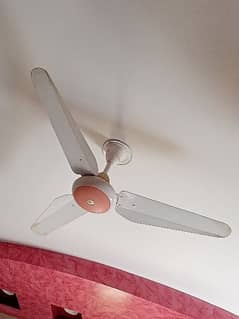 SK CEILING FAN