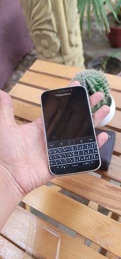 blackberry