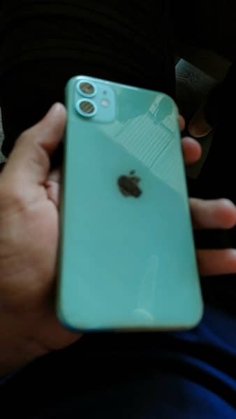 iPhone 11 128GB green colour 9.5/10 condition 1