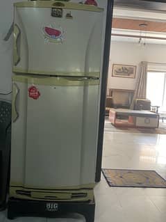 pel refrigerator