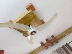 GFC CEILING FAN