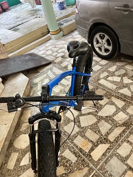 Beinaiqi Royal Plus Bicycle Fat Bike 1