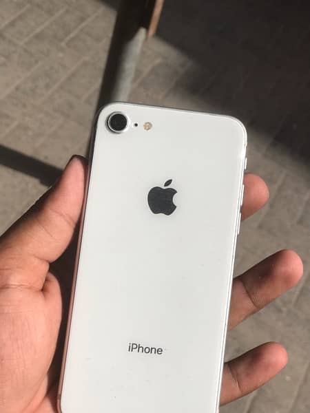 iphone 8 64gb pta approve 4