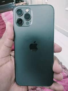 iphone 12 pro