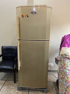 Haier Large refrigerator in a lush condition