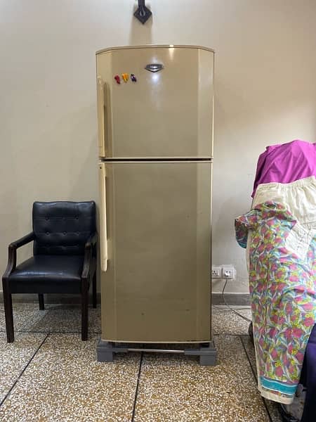 Haier Large refrigerator in a lush condition 2