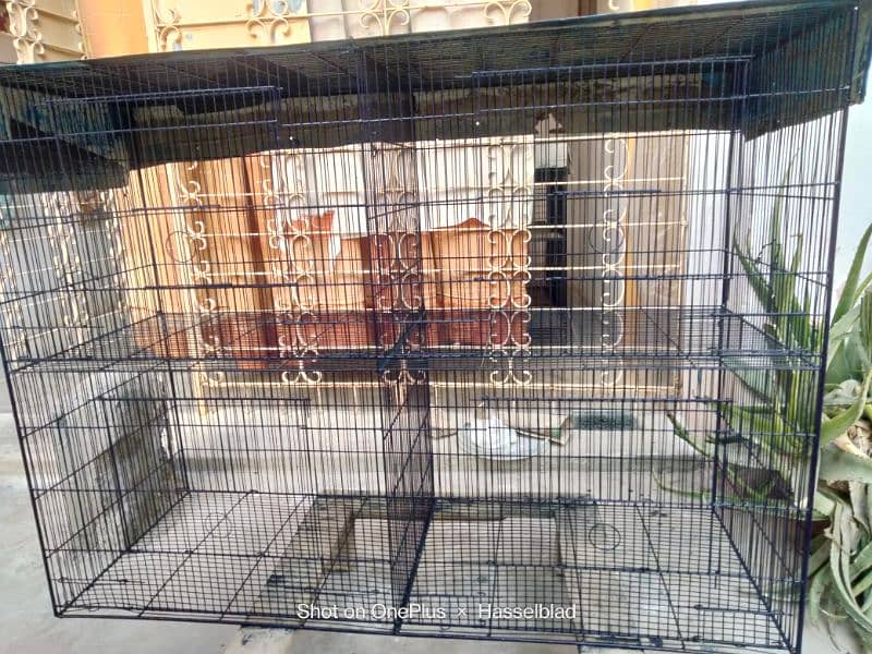 8 Portion Cage 2