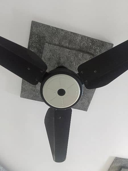 TRENDY CEILING FANS 1