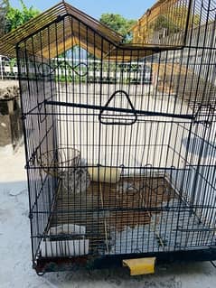 Bird Cage for Sale