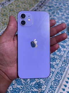 i phone 12 mint condition non pta