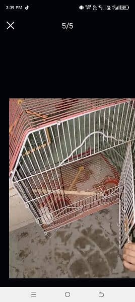 Bird cage for sale 1