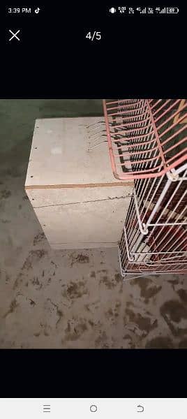 Bird cage for sale 2