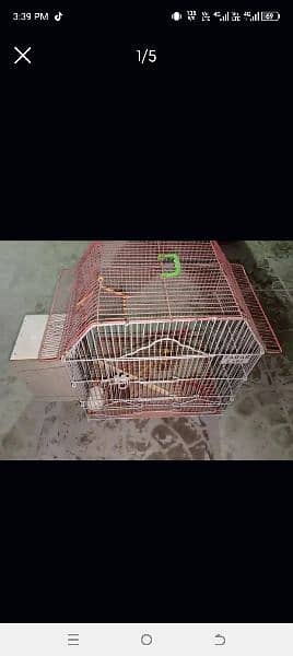 Bird cage for sale 4