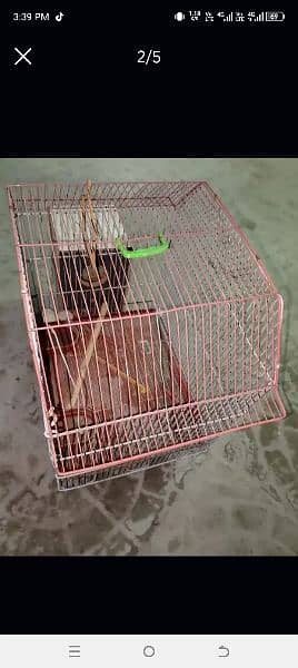 Bird cage for sale 5