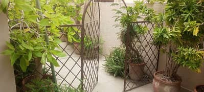 Two Heavy iron gril gate for garden