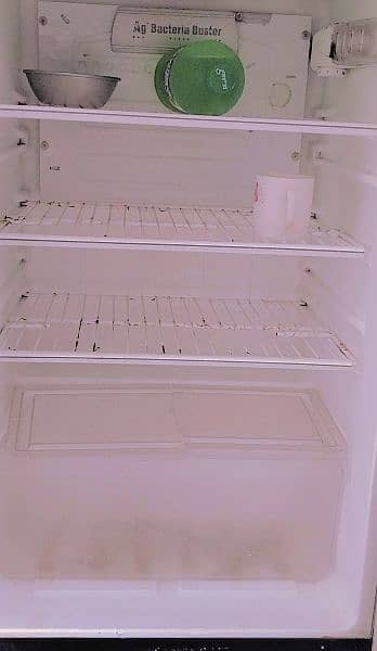 Pel Refrigerator for Sale 3