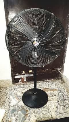 royal pedestal fan