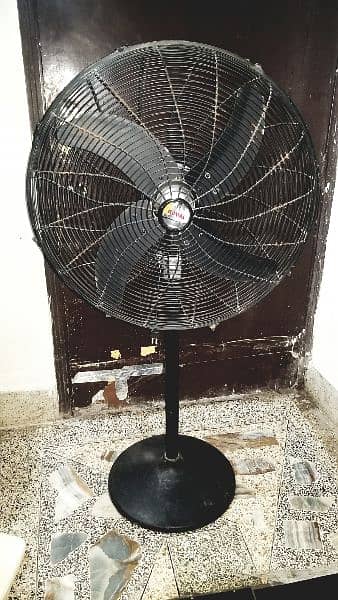 royal pedestal fan 0