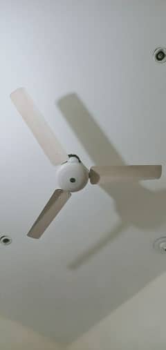 selling fan