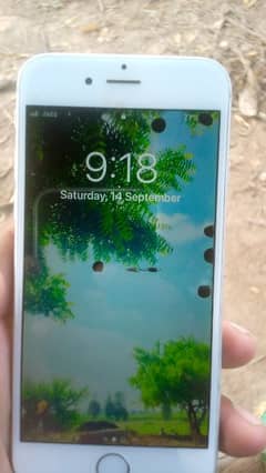 I phone 6 Pta prove